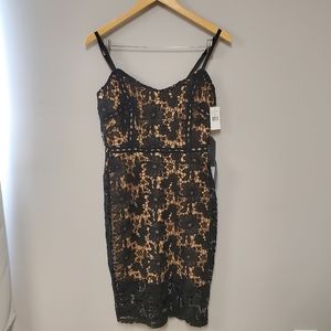 NWT Max & Ash Lace Dress